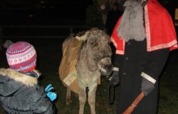 IMG 4523  Gro   