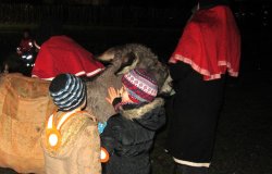IMG 4527  Gro   