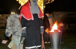 IMG 4547  Gro   