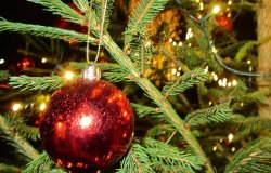 IMG 4655  Gro   