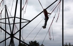 IMG 6156  Gro   