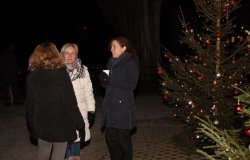 IMG 6424  Gro   