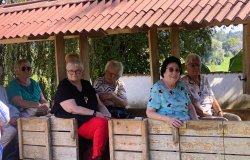 Foto 07.09.23  15 30 41