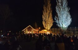 PHOTO 2024 11 30 20 32 41  1 