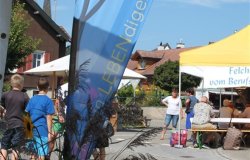 IMG 7088