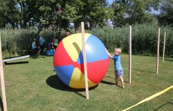 IMG 9325